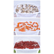 Large Capacity Hanging Air Drying Rack, 1, 2, 3, 4 Layer Herb, Fish, Fruits, Drying Holder, Foldable, Net, Outdoor Drying Tool